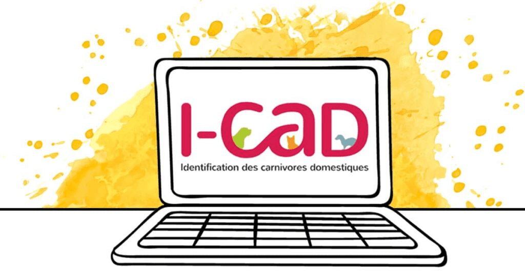 Illustration I-CAD — Identification des carnivores domestiques